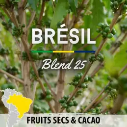 Brésil - Blend 25 - café en grain | 250g