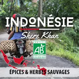Indonésie - Shere Khan bio - café en grains | 250g