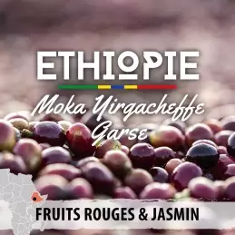 Éthiopie - Yirgacheffe Garse - café en grain | Fruits rouges & Jasmin