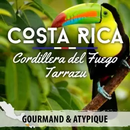 Costa Rica - Cordillera del fuego - café en grain-6842