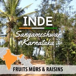 Inde - Sangameshwar Karnataka - café moulu | 250g