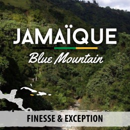 Jamaïque - Blue Mountain - café moulu | 250g
