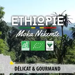 Éthiopie - Moka Nekemte Forest Ground BIO - café en grain | 250g