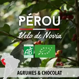 Café du Pérou BIO | Velo de Novia | Région de Cajamarca | 250G